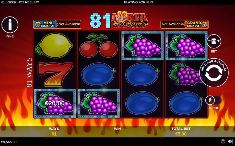 81 Joker Hot Reels, spin 132