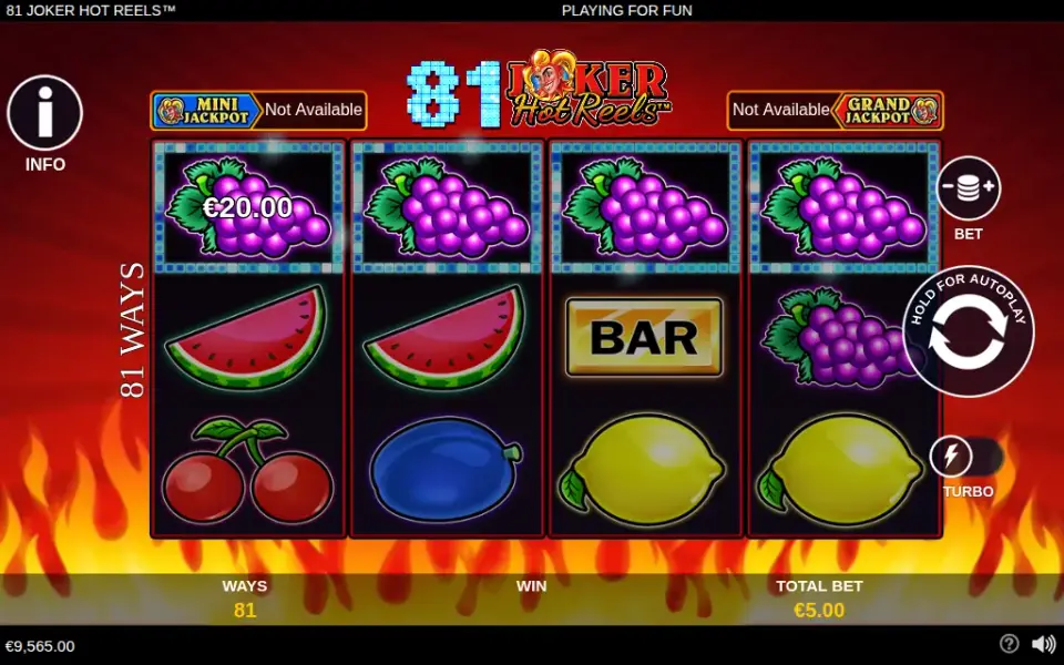 81 Joker Hot Reels, spin 142