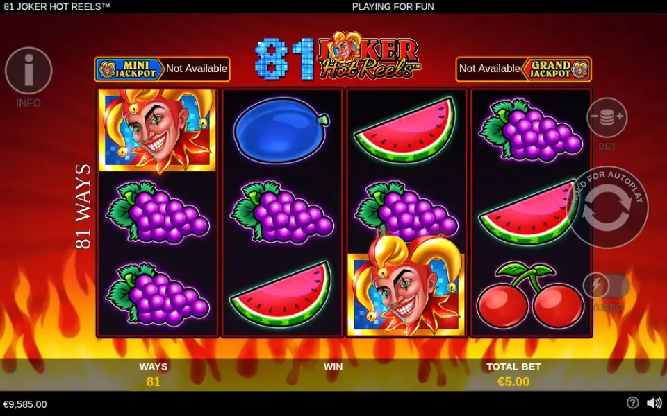 81 Joker Hot Reels, spin 150