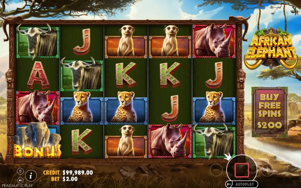 African Elephant, spin 21
