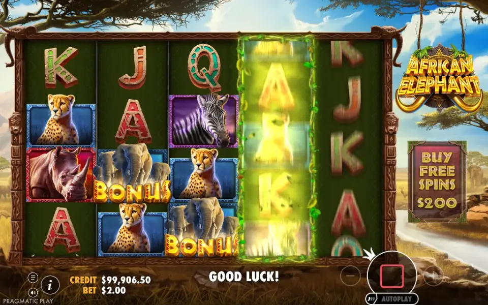 African Elephant, spin 76