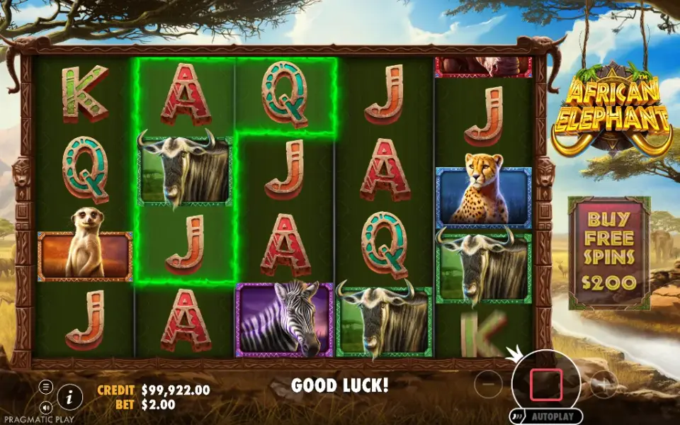 African Elephant, spin 91