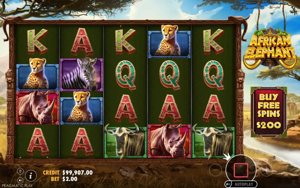 African Elephant, spin 131