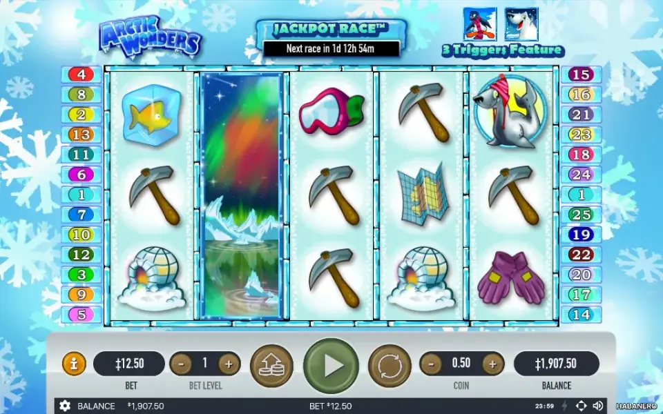 Arctic Wonders, spin 62