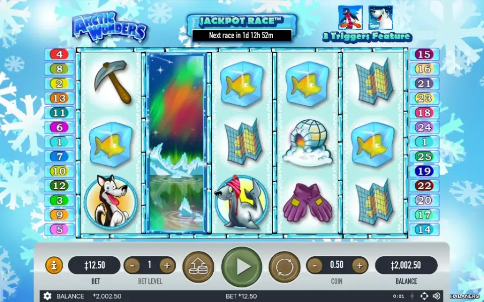 Arctic Wonders, spin 82