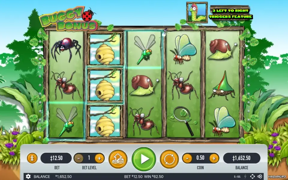 Buggy Bonus, spin 62