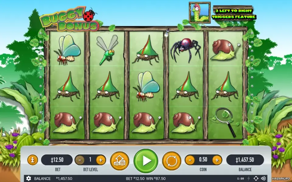 Buggy Bonus, spin 100